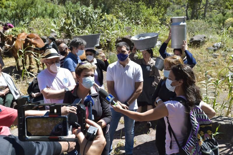 Inauguración del camino de las bestias en Ingenio