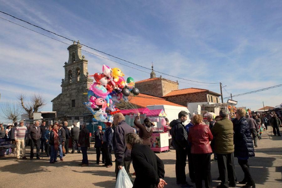 Feria del burro en San Vitero y romería