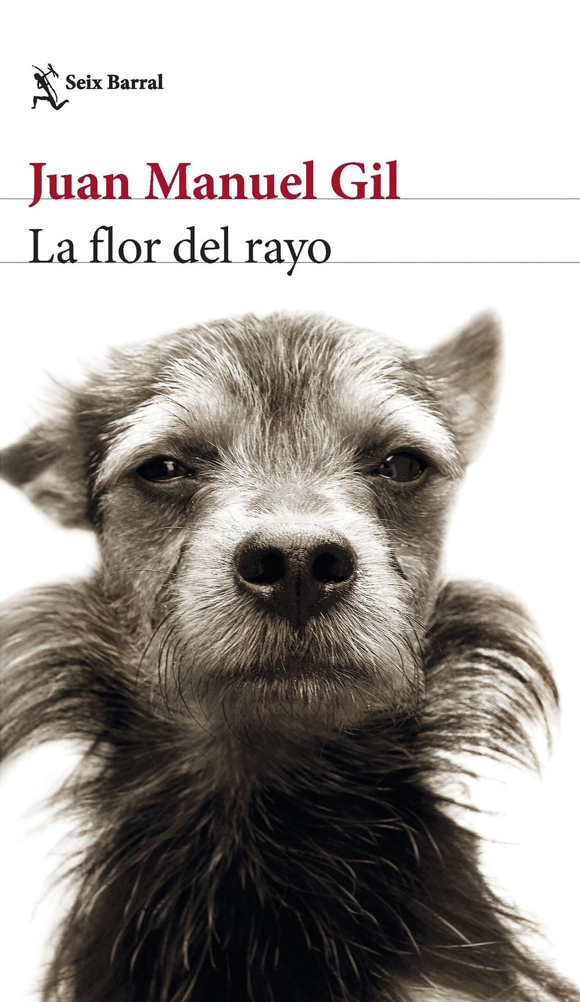 Portada de &#039;La Flor del Rayo&#039;, de Juan Manuel Gil.