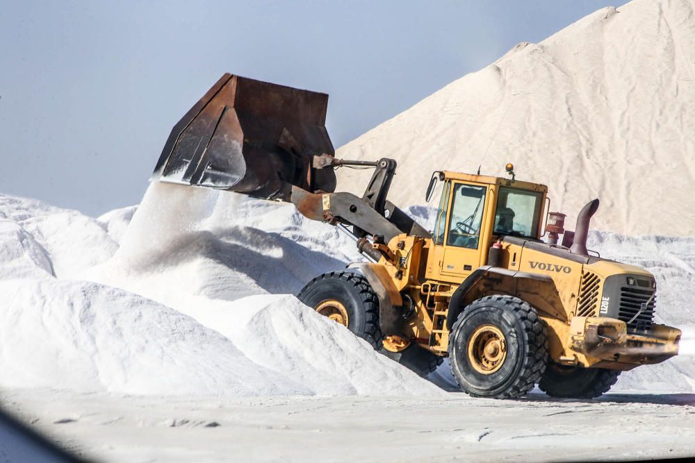 En torno a medio centenar de turistas estrenaron las visitas guiadas a las salinas de Torrevieja, que pretenden normalizarse el verano que viene