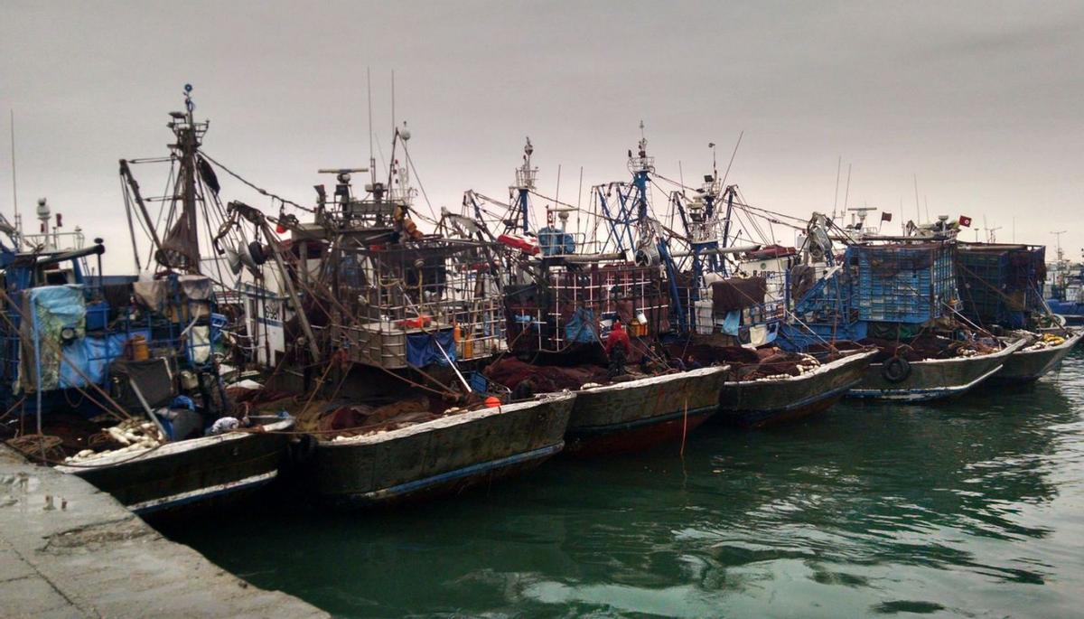 Barcos de pesca amarrados en el puerto de Dakhla, en la zona del Sáhara Occidental. | // A. A.