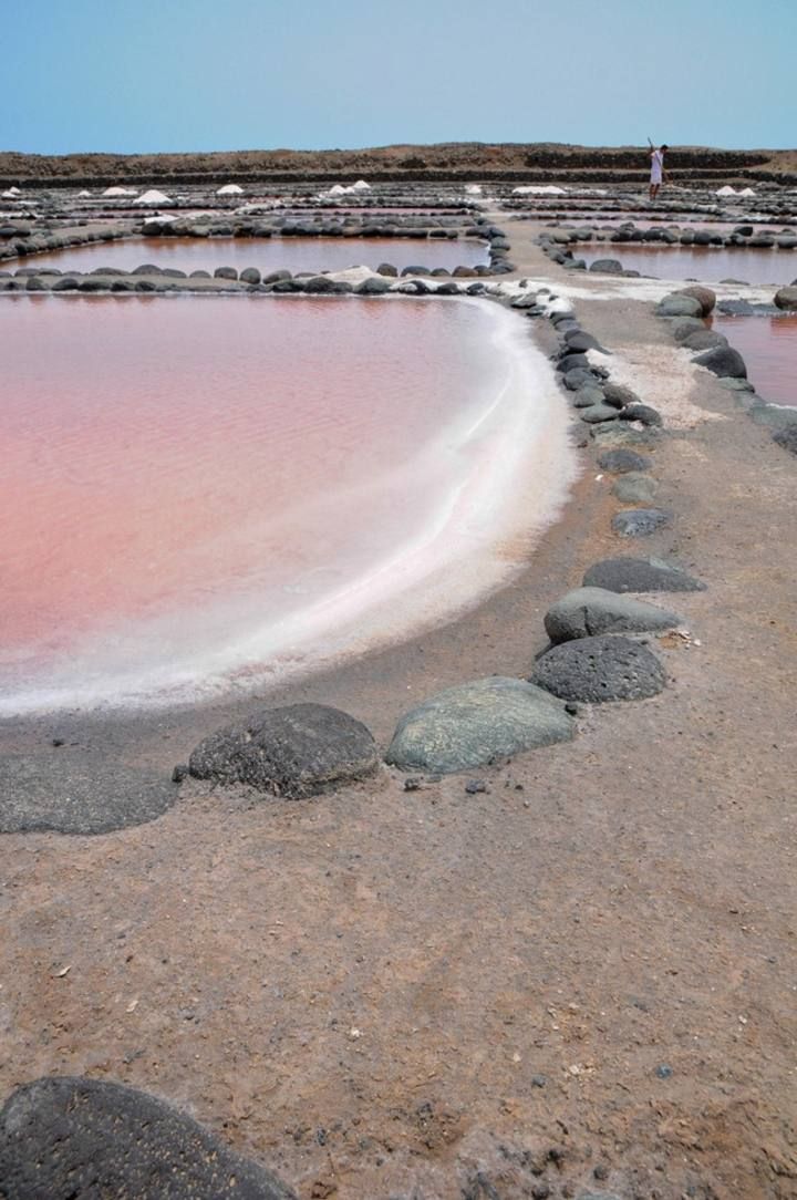 Reportaje en las Salinas de Tenefe en Pozo Izquierdo