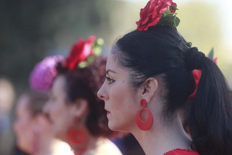 Caballos en el Alcázar