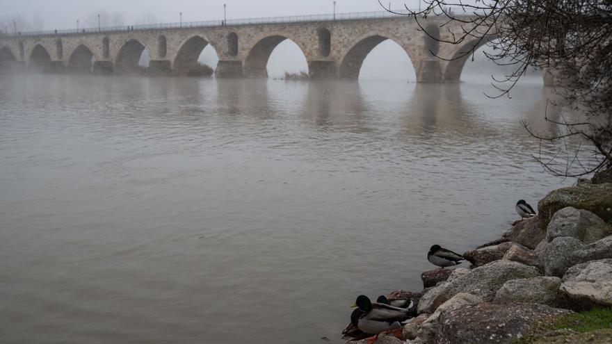 Aspecto del río a su paso por Zamora.