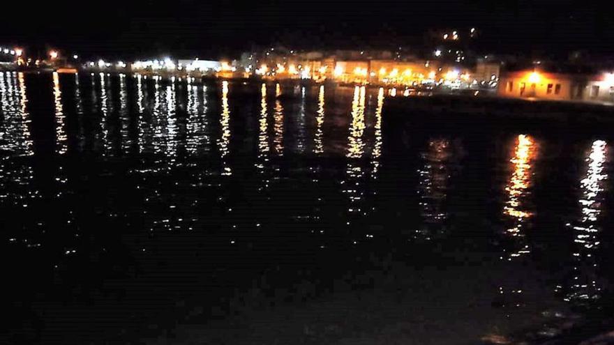 Cuatro nutrias sorprenden de noche a los usuarios del paseo de Rodeira en Cangas