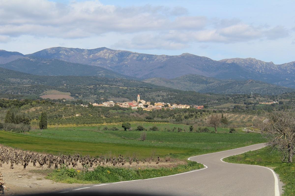 L'Albera, entre vinyes i olivars, amb Espolla a la seva falda.
