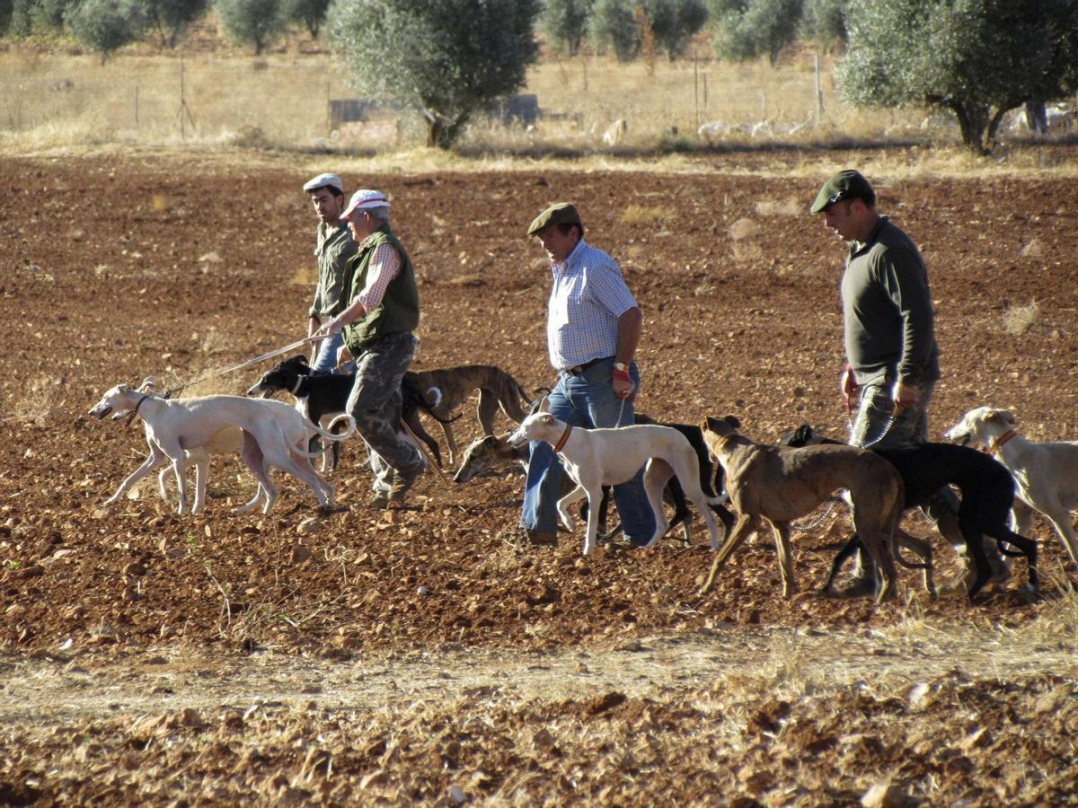 Varios hombres saliendo a cazar con sus perros