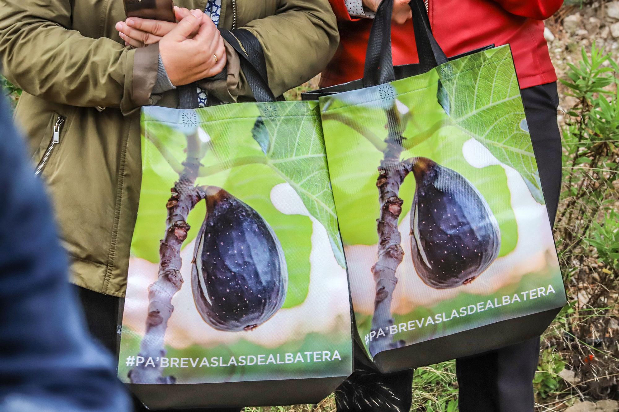 Primer corte de la breve de Albatera, que da inicio a la campaña