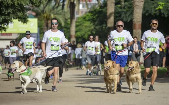 16/12/2018 LAS PALMAS DE GRAN CANARIA. Carrera ...