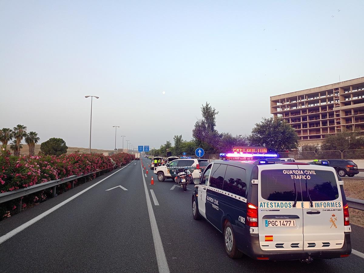 Control de la Guardia Civil en la A-4.