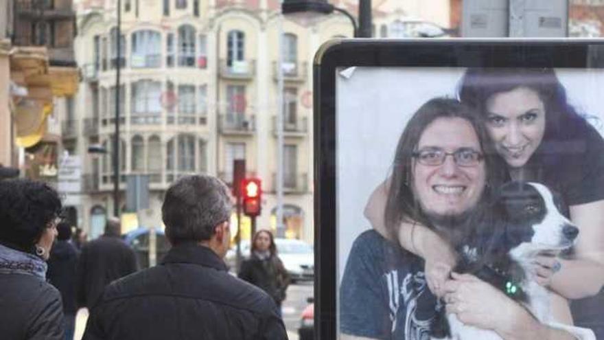 Una persona observa uno de los carteles colocados en una marquesina.