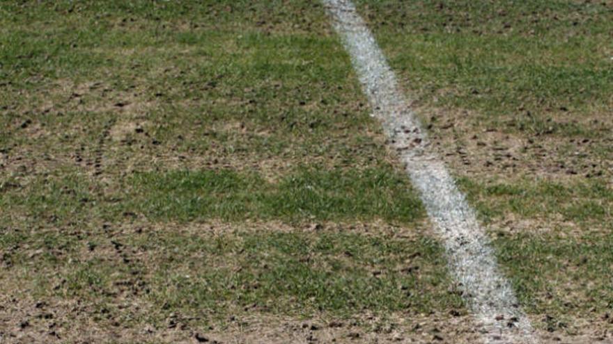 Imagen del césped de La Rosaleda anteayer.