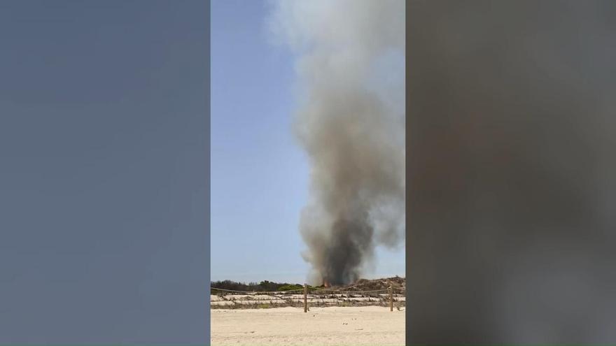 Incendio en La Devesa de El Saler
