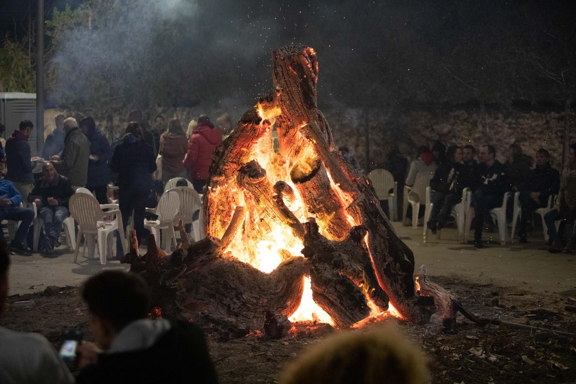 Sant Antoni 2023 en sa Pobla