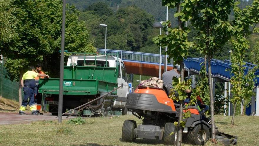 Trabajadores municipales, en una zona verde de Langreo.