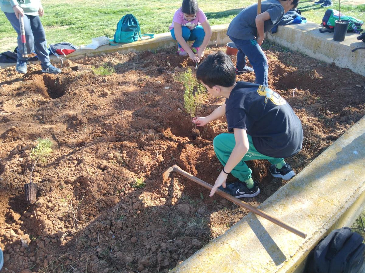 Els xiquets han plantat llavors en la jornada.