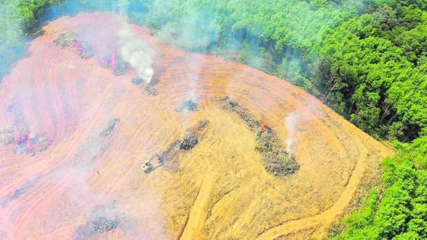 Trabajos de deforestación y 
quema en el bosque Amazonas, 
en Brasil.. |   SHUTTERSTOCK