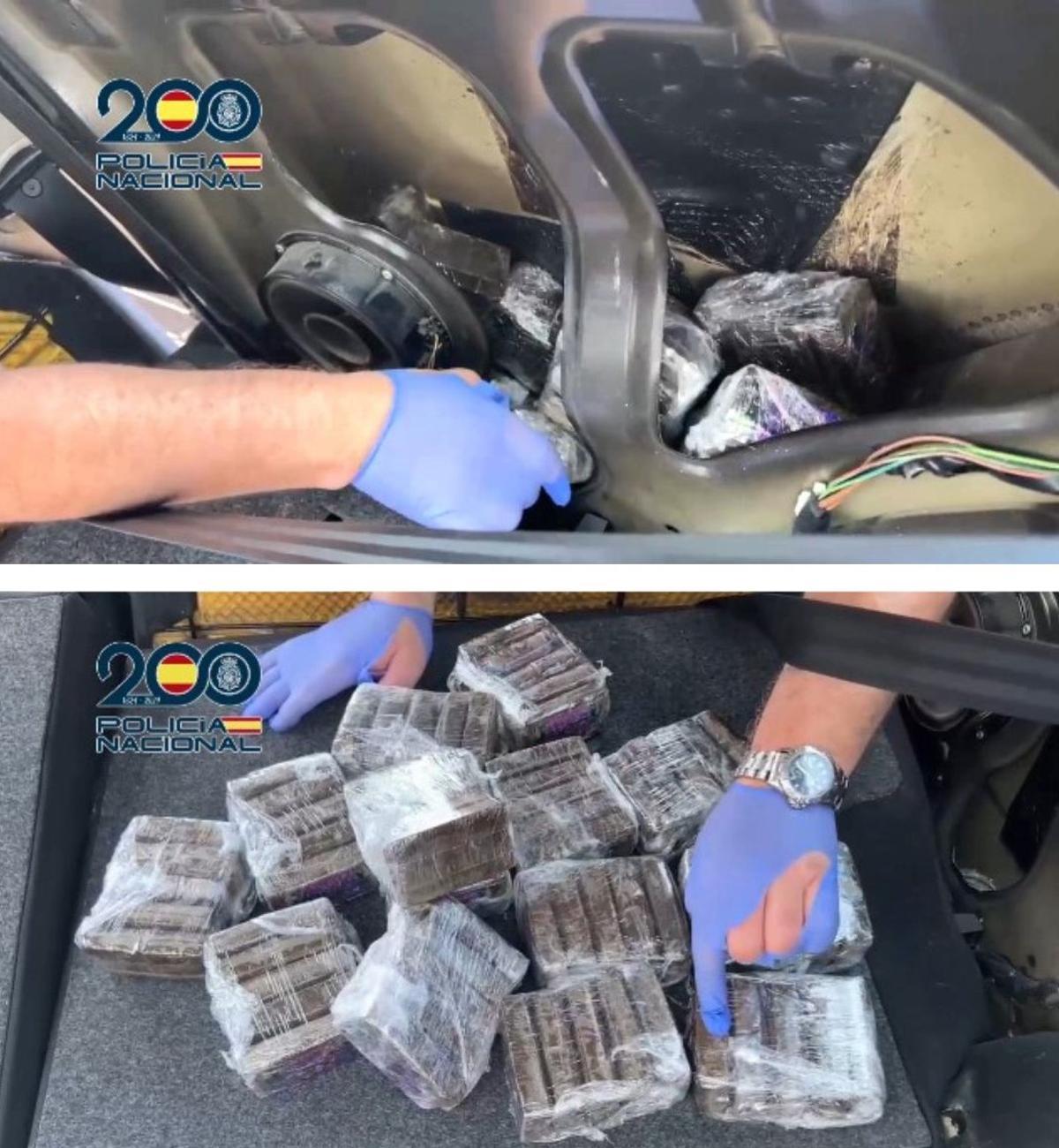 Una de las últimas incautaciones de la UDYCO