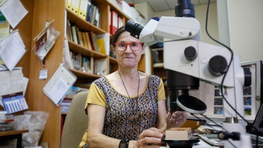 Gloria Cuenca: «Deberíamos ayudar a las aves a que se fijen en nuestro campus»