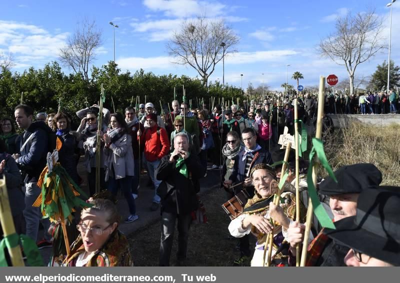 Romeria a la Magdalena 2016