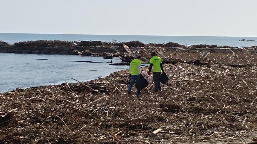 València afronta la ingente tarea de limpiar sus playas tras la dana