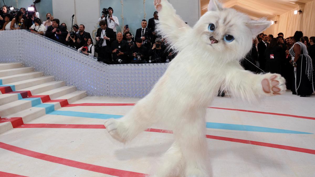 Un disfraz de gato: Conoce al actor que ha elegido este atuendo para acudir  a la Gala Met 2023 - El Periódico Mediterráneo