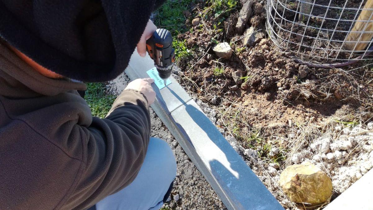 Uno de los árboles con el nombre de un recién nacido en Casar de Cáceres