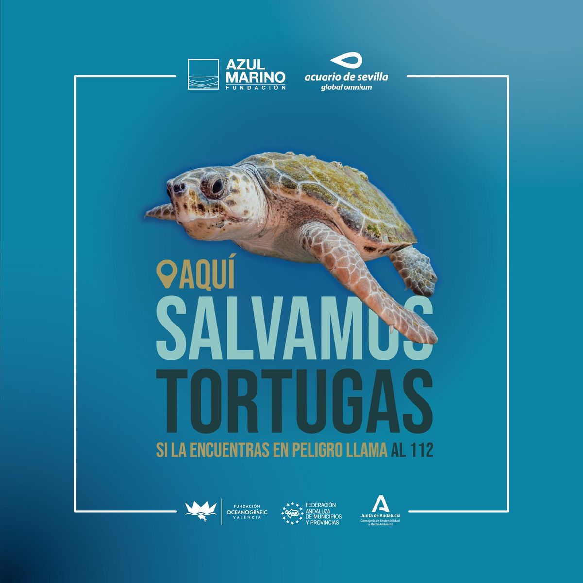 Cartel principal de campaña "Aquí salvamos tortugas" del Acuario de Sevilla