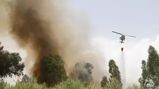 Un incendio junto al Parque Joyero de Córdoba calcina 6 hectáreas