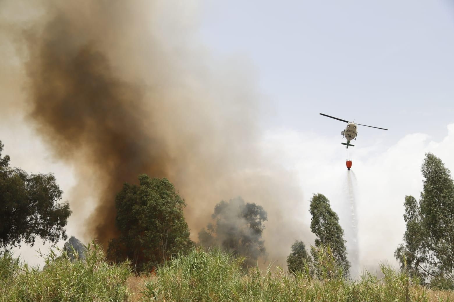 Un incendio de pastos junto al Parque Joyero moviliza a bomberos, Infoca y Policía Local