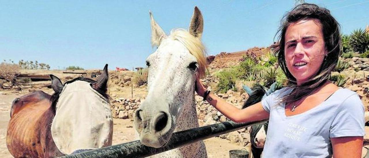 A la izquierda, la voluntaria Diana Pirés junto al caballo Capri en las instalaciones de Tenerife Horse Rescue. Sobre estas líneas, Edoardo Pensato junto al caballo Jerónimo. A la derecha, una de las voluntarias pone comida a los patos. Debajo, dos de los perros acogidos en un banco hecho con arcilla y materiales reciclados. | maría pisaca