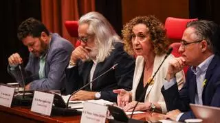 El Govern avisa de que es el independentismo y no Puigdemont quien tiene la "sartén por el mango" de la investidura