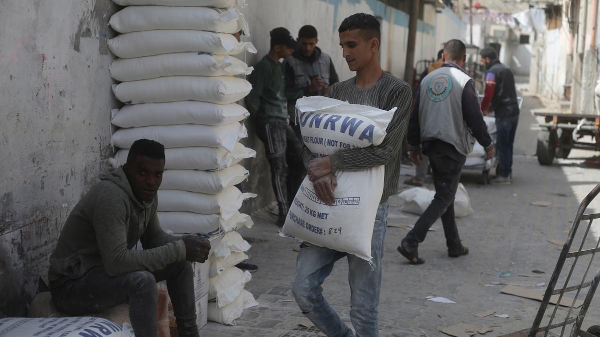 Un trabajador palestino transporta un saco de harina de la Agencia de Naciones Unidas para los Refugiados de Palestina en Oriente Próximo (UNRWA) a un campamento de refugiados en la ciudad de Rafá, en el sur de la Franja de Gaza.