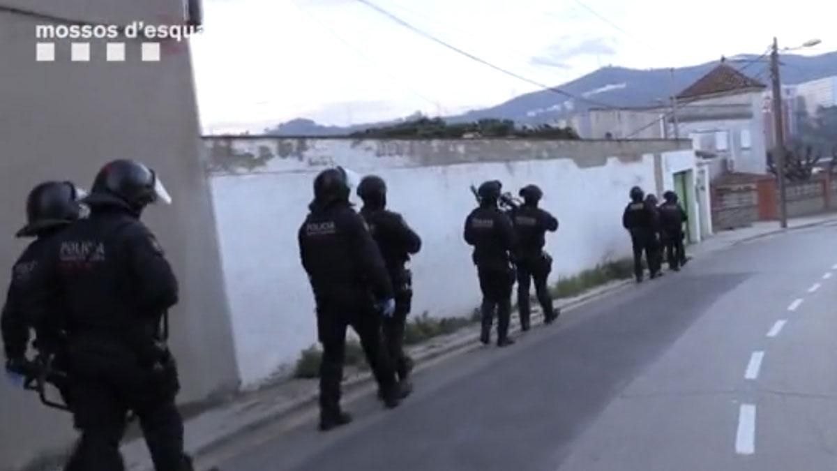 video 3619242