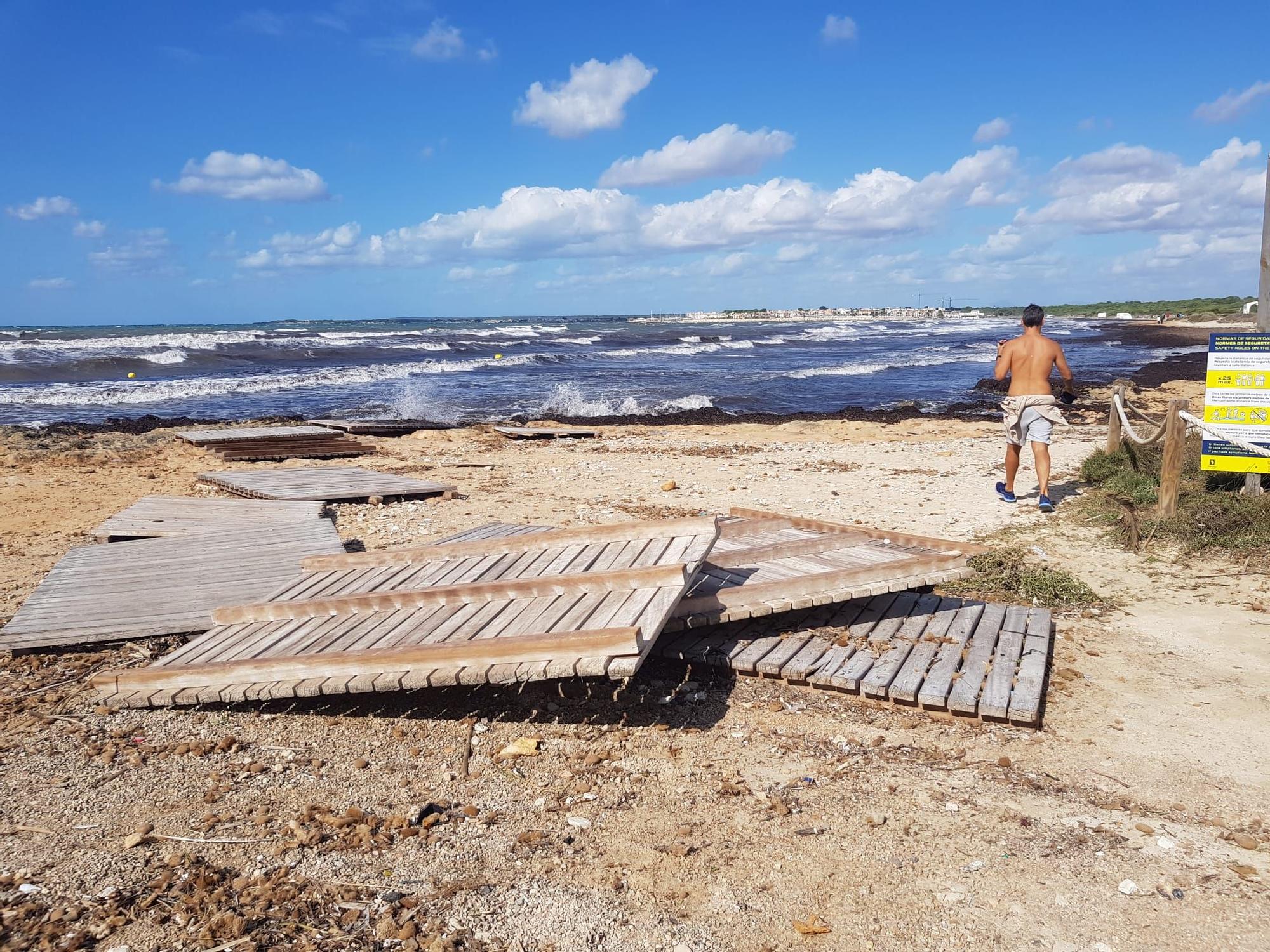 La borrasca Álex destroza las sombrillas de la playa de sa Ràpita