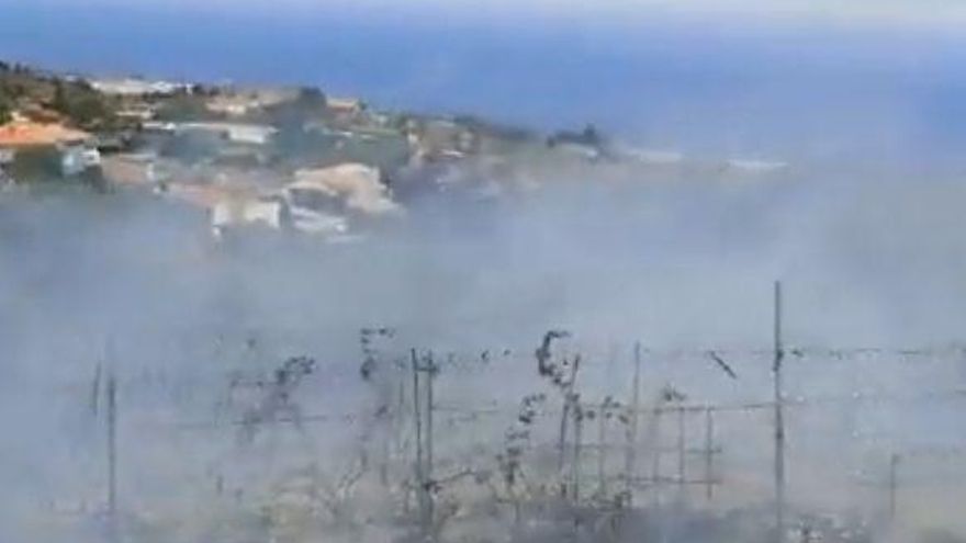 Fire outbreak in La Esperanza (Tenerife)