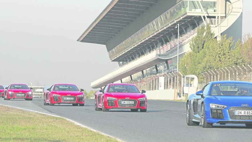 Audi R8 V10 Plus/Audi Driving Experience, la bestia... en su salsa