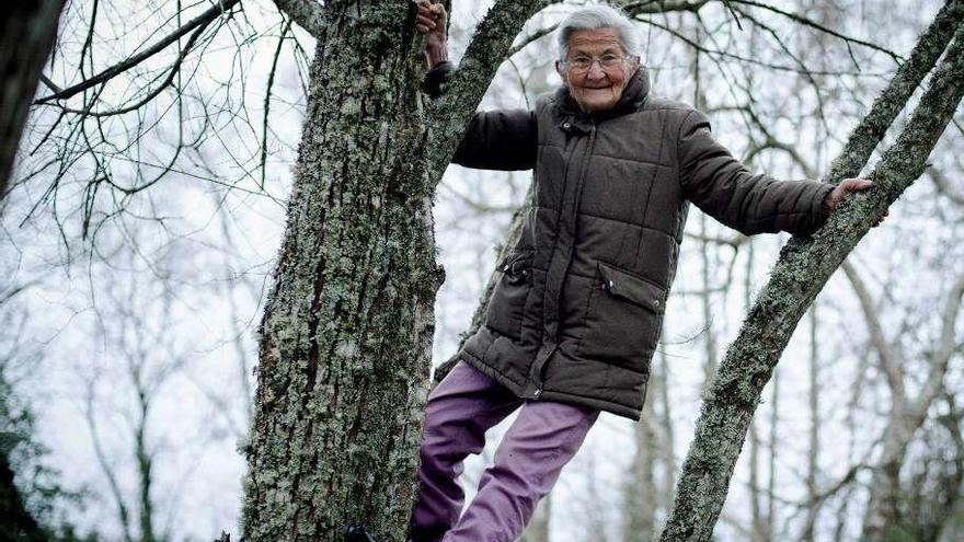Benedicta Sánchez posa subida a un árbol en O Corgo, Lugo. // Efe