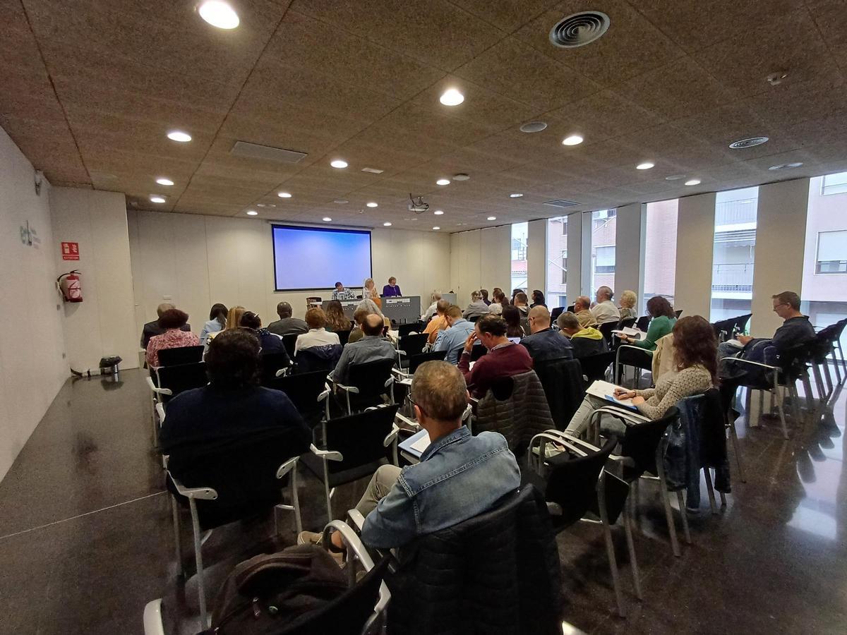 Un momento de la reunión del Consejo Local de Cooperación de Elche para debatir sobre la situación en Palestina