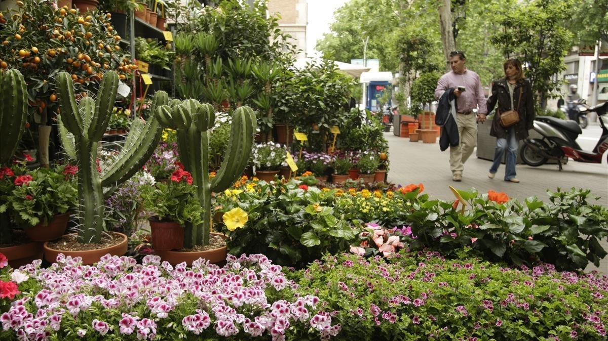 rjulve15802131 barcelona 25 04 2012 venta de flores en la calle valencia  f180716181702