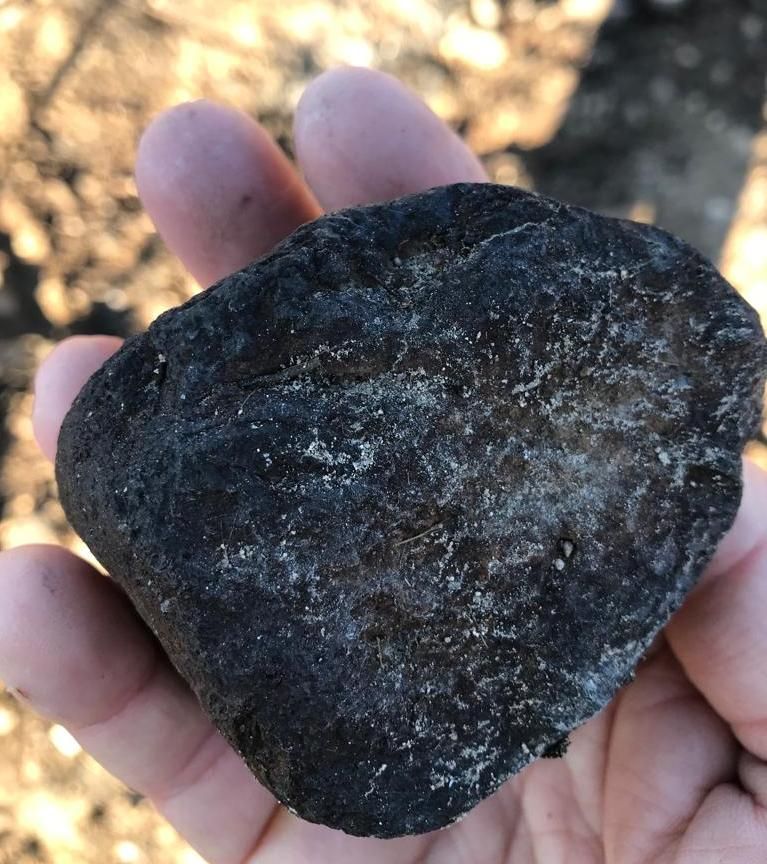 Piedras calcinadas en la zona del impacto.