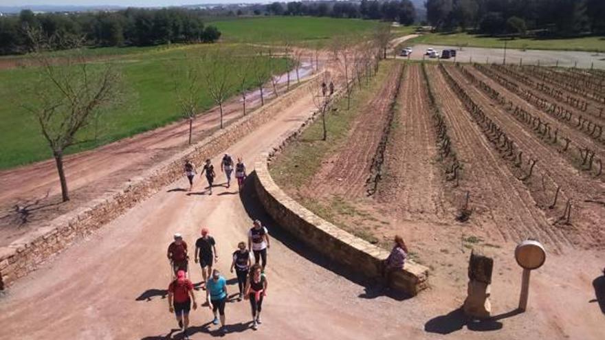 Arribant a l&#039;Oller del Mas, en un dels dos circuits més curts