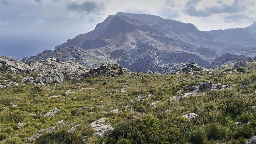 Jardí de la Serra de Tramuntana