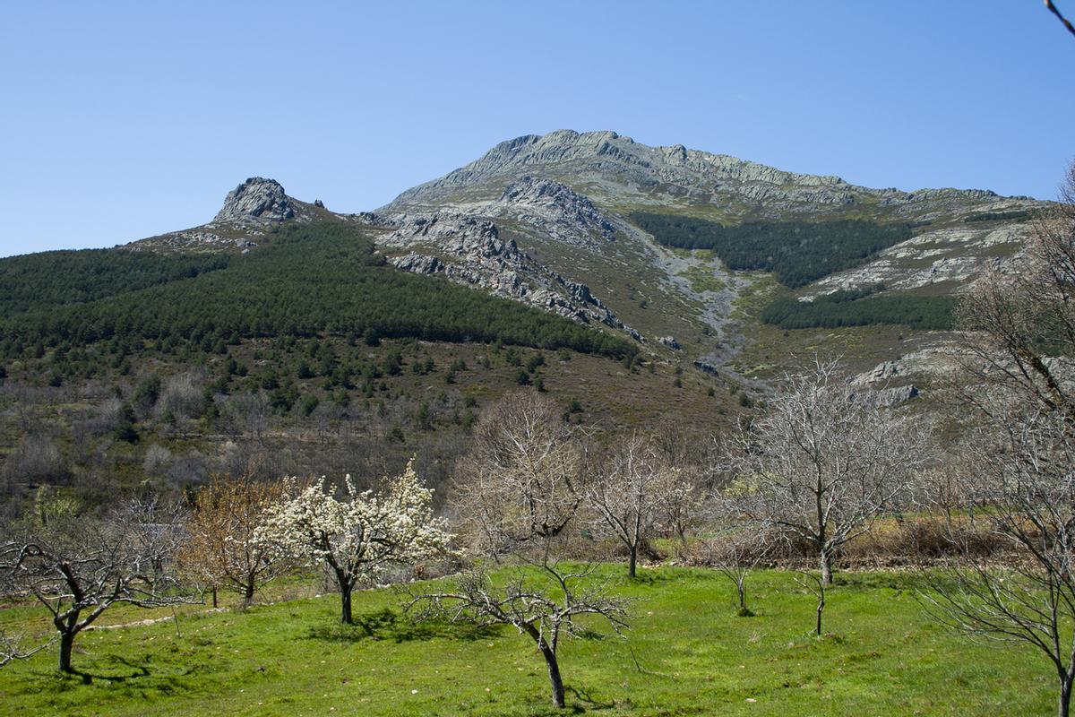 Pico Ocejón, Guadalajara