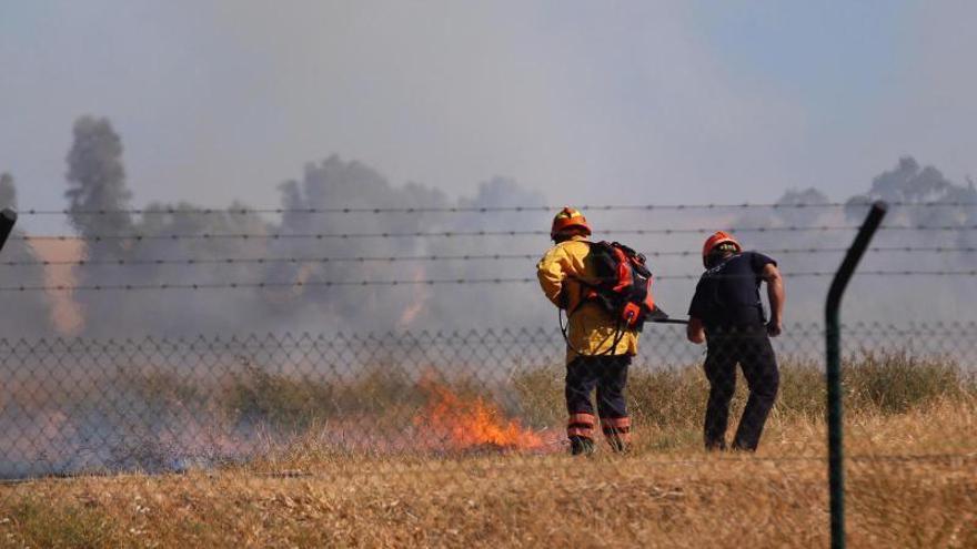 Incendio en Majaneque por la quema incontrolada de rastrojos