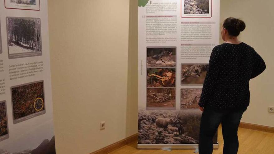 Una visitante en la exposición de la Casa de Cultura de Ribadesella.