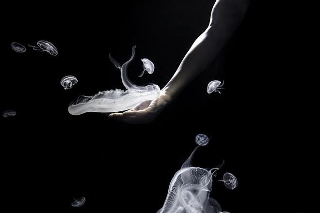 Isabel Muñoz presenta en PHotoEspaña 2021 la exposición “Somos Agua” realizada en el Oceanogràfic
