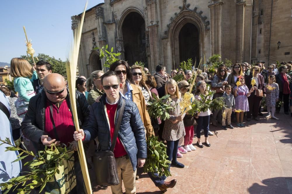 Bendición de ramos en la plaza de la Catedral