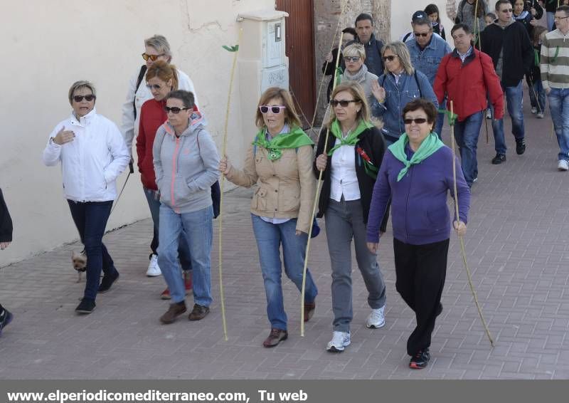 GALERÍA DE FOTOS - Romería Magdalena 2014 (2)