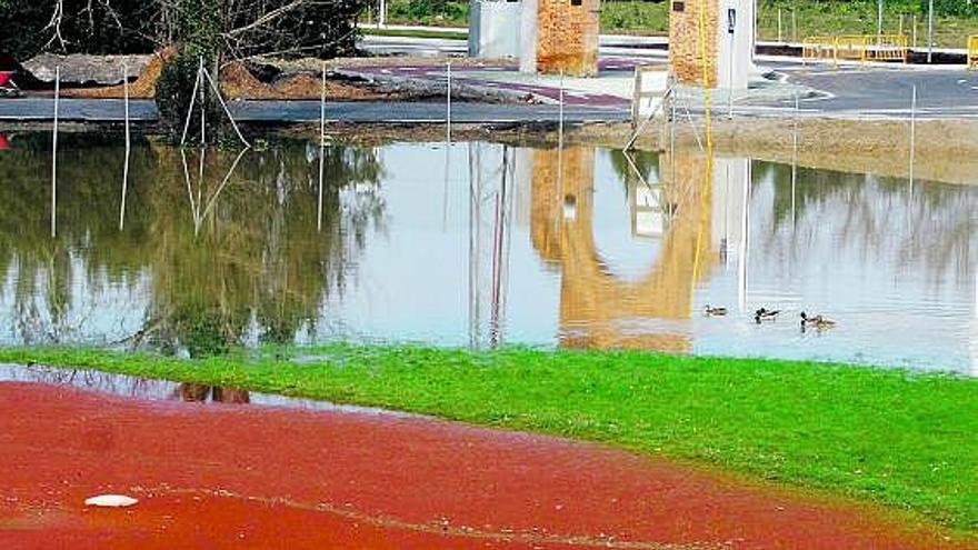 Un grupo de patos nadan sobre el agua acumulada en el campo de béisbol de la Universidad Laboral.